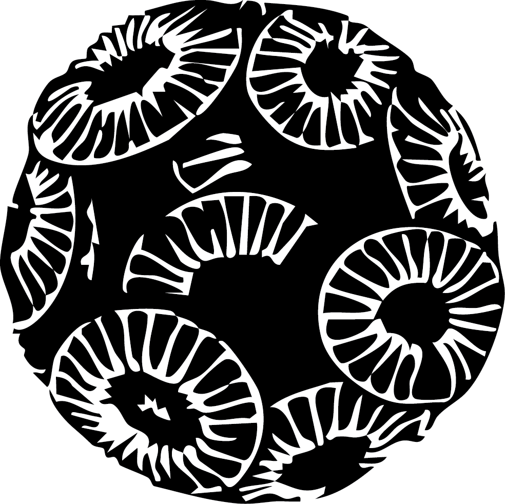Emiliania huxleyi illustration